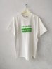 White / Lt.Green