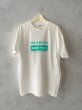 White / Aqua